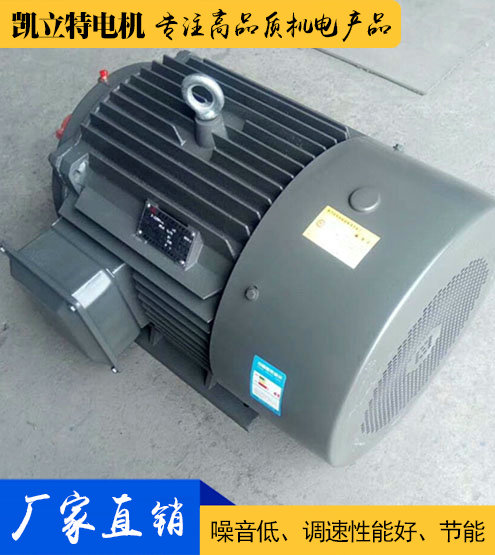 YE2/Y2/Y普通三相異步電動機(jī)